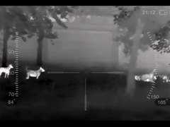 ตาข้างเดียวถ่ายภาพความร้อน